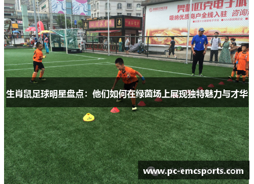 生肖鼠足球明星盘点:他们如何在绿茵场上展现独特魅力与才华 生肖鼠足球明星盘点:他们如何在绿茵场上展现独特魅力与才华