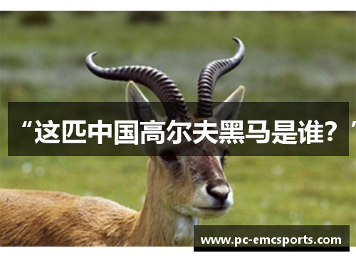 “这匹中国高尔夫黑马是谁？”