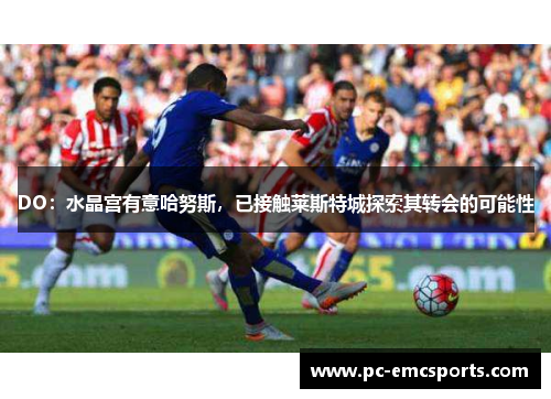 DO:水晶宫有意哈努斯,已接触莱斯特城探索其转会的可能性 DO:水晶宫有意哈努斯,已接触莱斯特城探索其转会的可能性